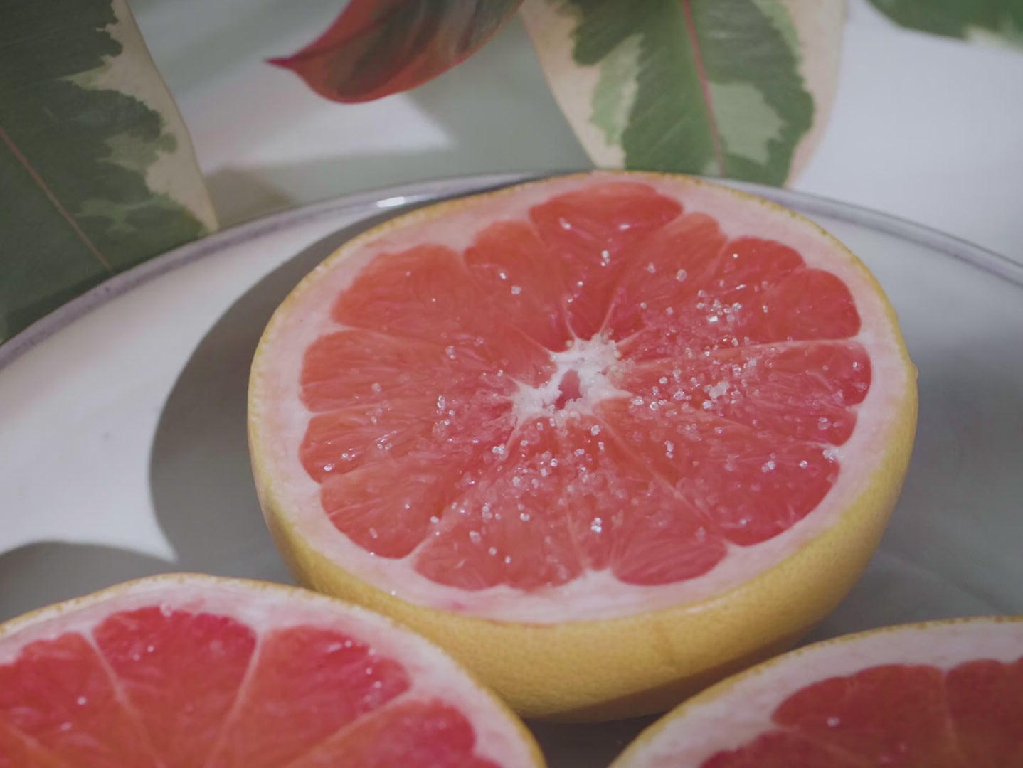 Grapefruit